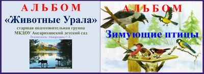 Скачать картинки какие птицы зимуют на урале - подборка картинки