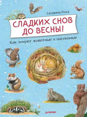 Книга Здравствуй, зима! . Автор Ольга Фадеева. Издательство Речь  978-5-9268-3357-4 картинки